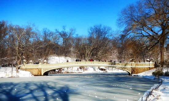 central park hiver