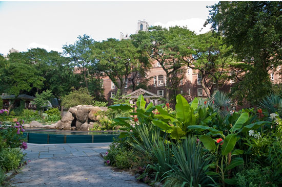 le zoo de central park à new york