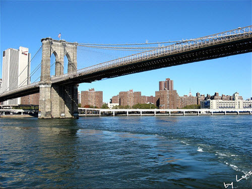 pont brooklyn