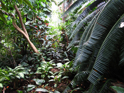 tropical pavillon