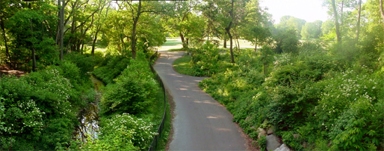 prospect park