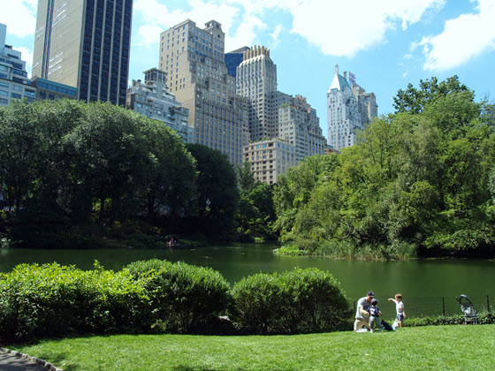 central park en été